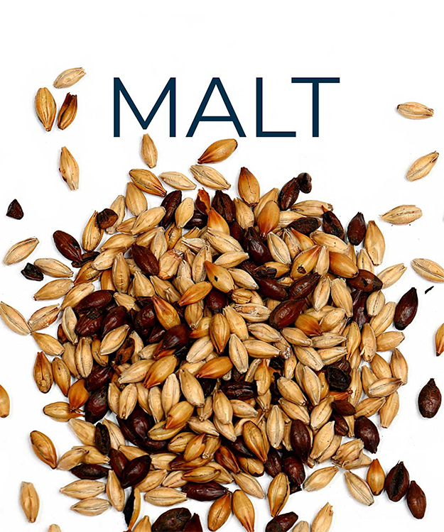 Malt