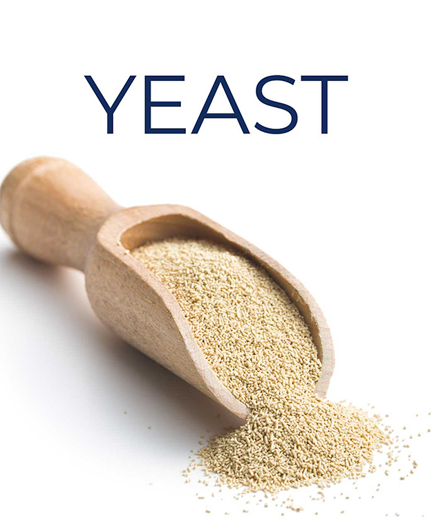 Yeast